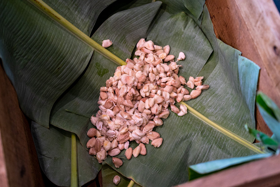 Kad Kokoa Cacao Juice Process and Recipe
