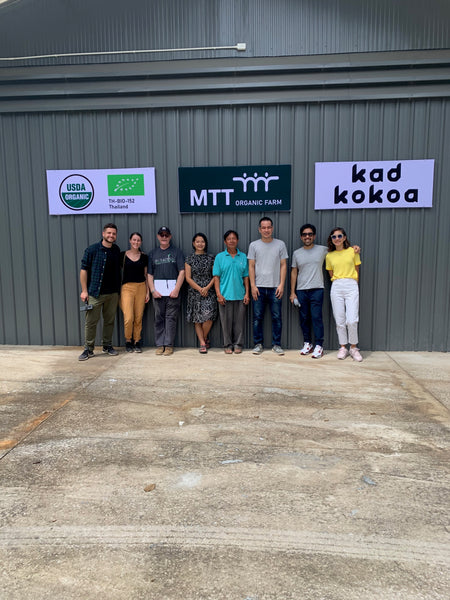 Exploring the Excellence of Chiangmai Single Origin Cacao Beans: A Collaboration Between Kad Kokoa and MTT Farm