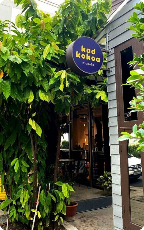 cacao tree and kad kokoa signage in front of the chocolate shop