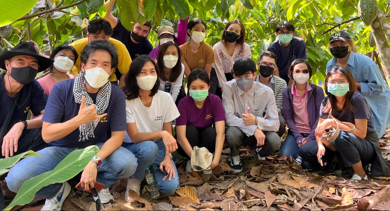 team of kad kokoa thai chocolatier in the cacao farm