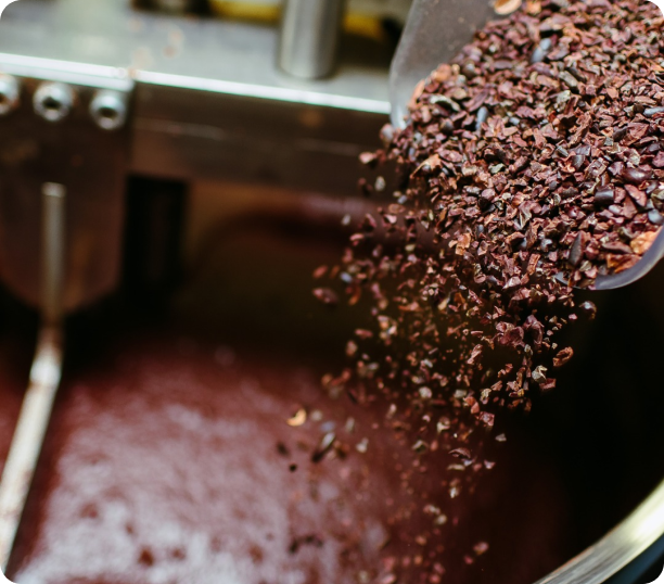 thai cacao nibs dropped in a melangeur